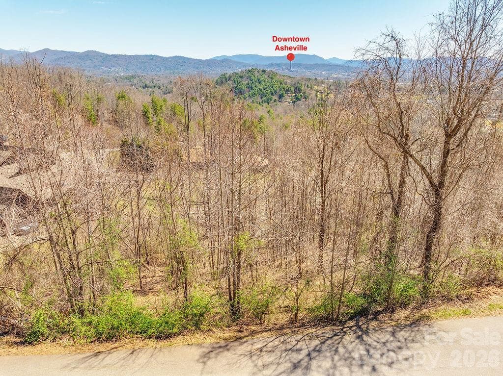 Check out the long range views from this ridgetop setting - Asheville