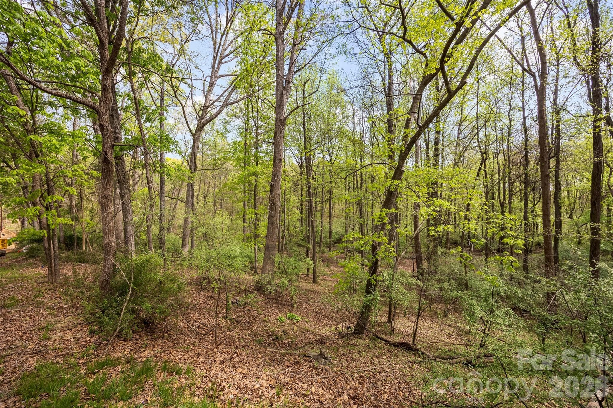 Single Family Residence at Charlotte, photo 7 of 29