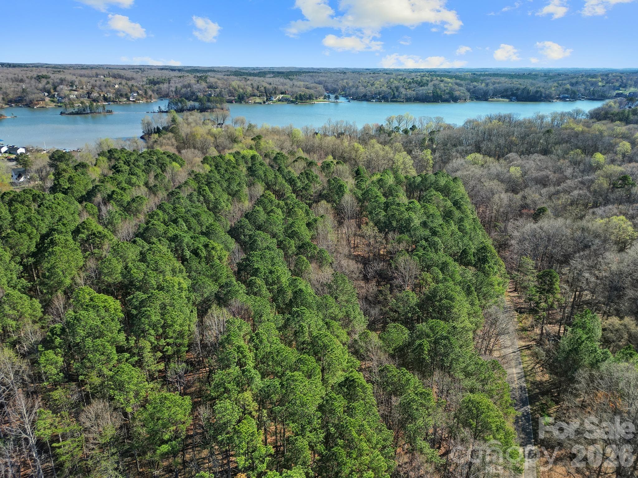 Acreage at 391 Hopewell Church Road, Catawba, photo 6 of 12