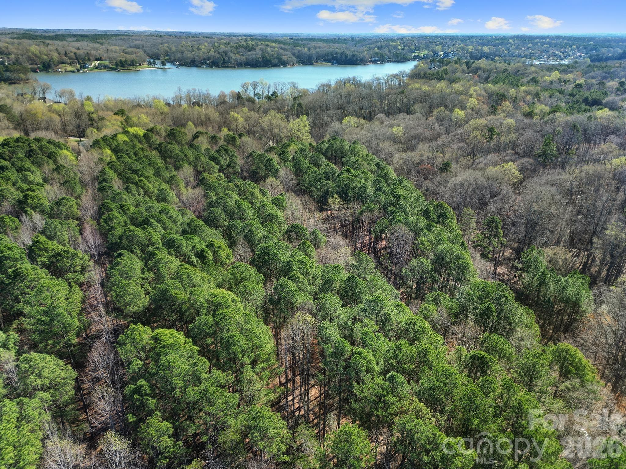 Acreage at 391 Hopewell Church Road, Catawba, photo 7 of 12