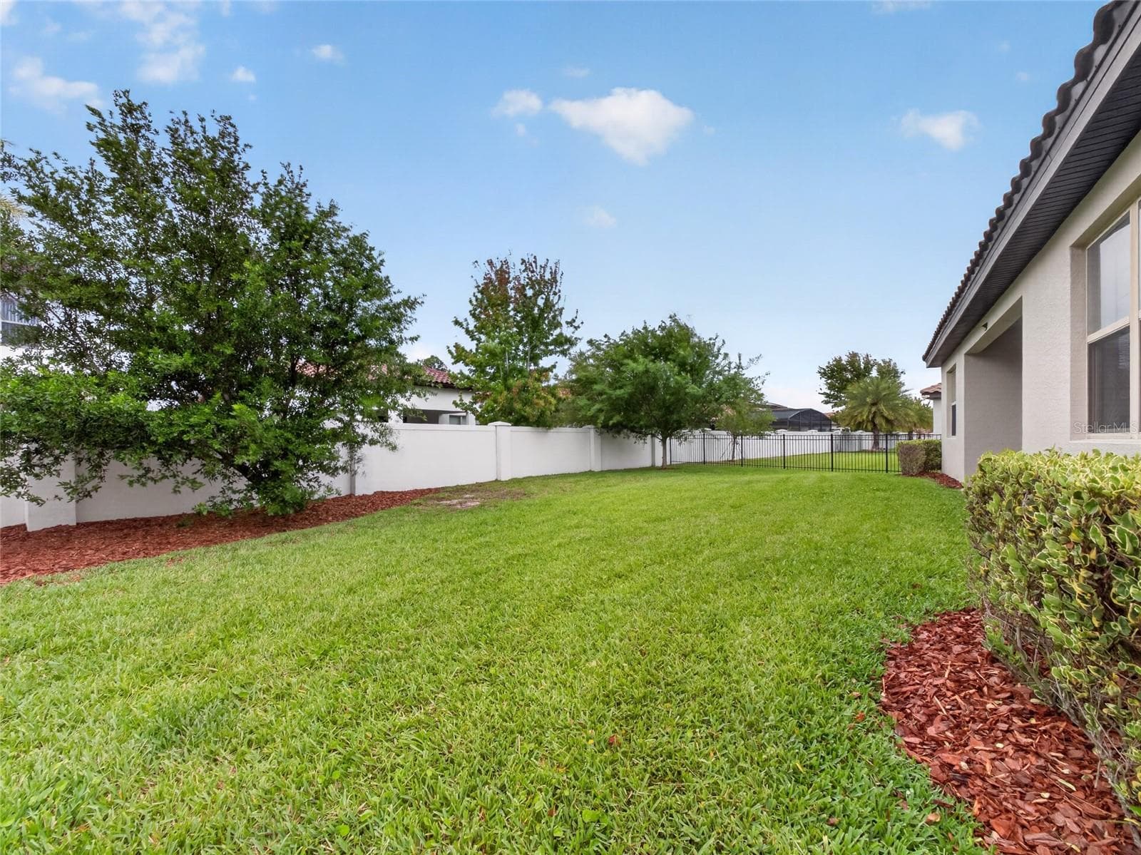 Back Yard - 11209 LEMON LAKE BLVD, ORLANDO