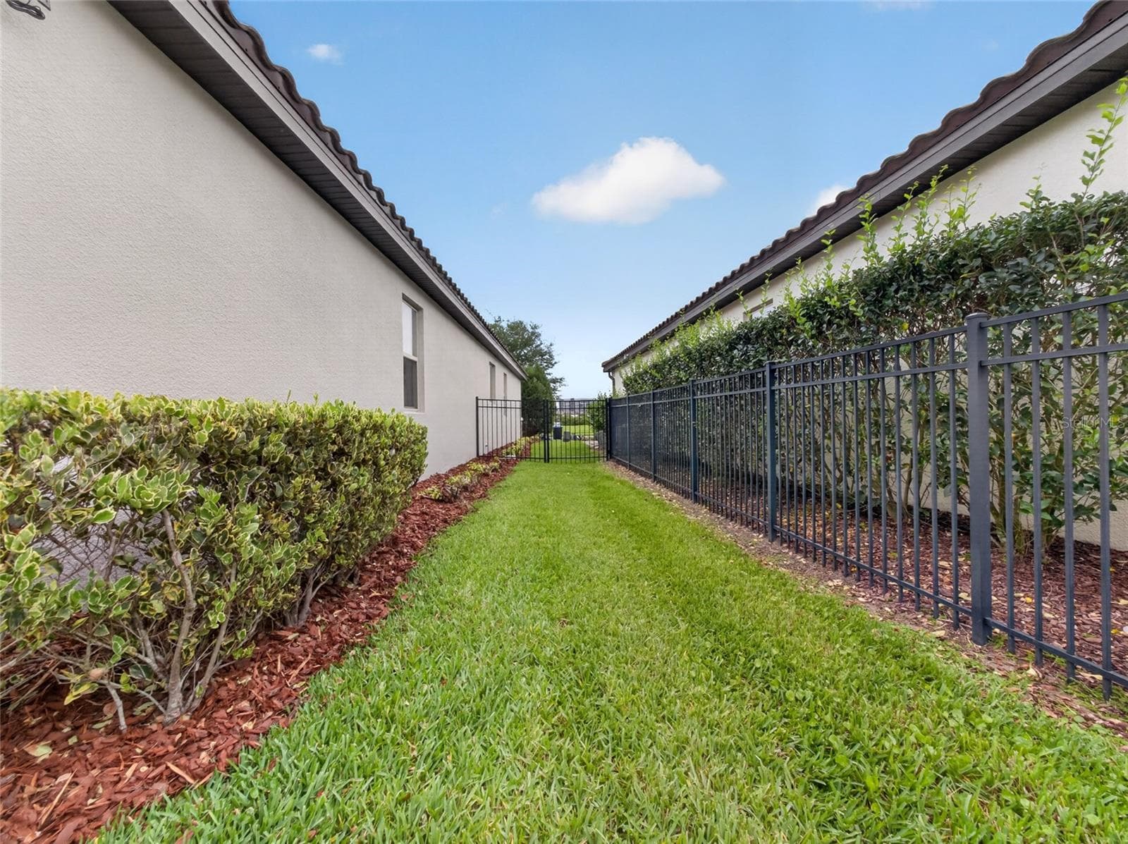 Side Yard - 11209 LEMON LAKE BLVD, ORLANDO