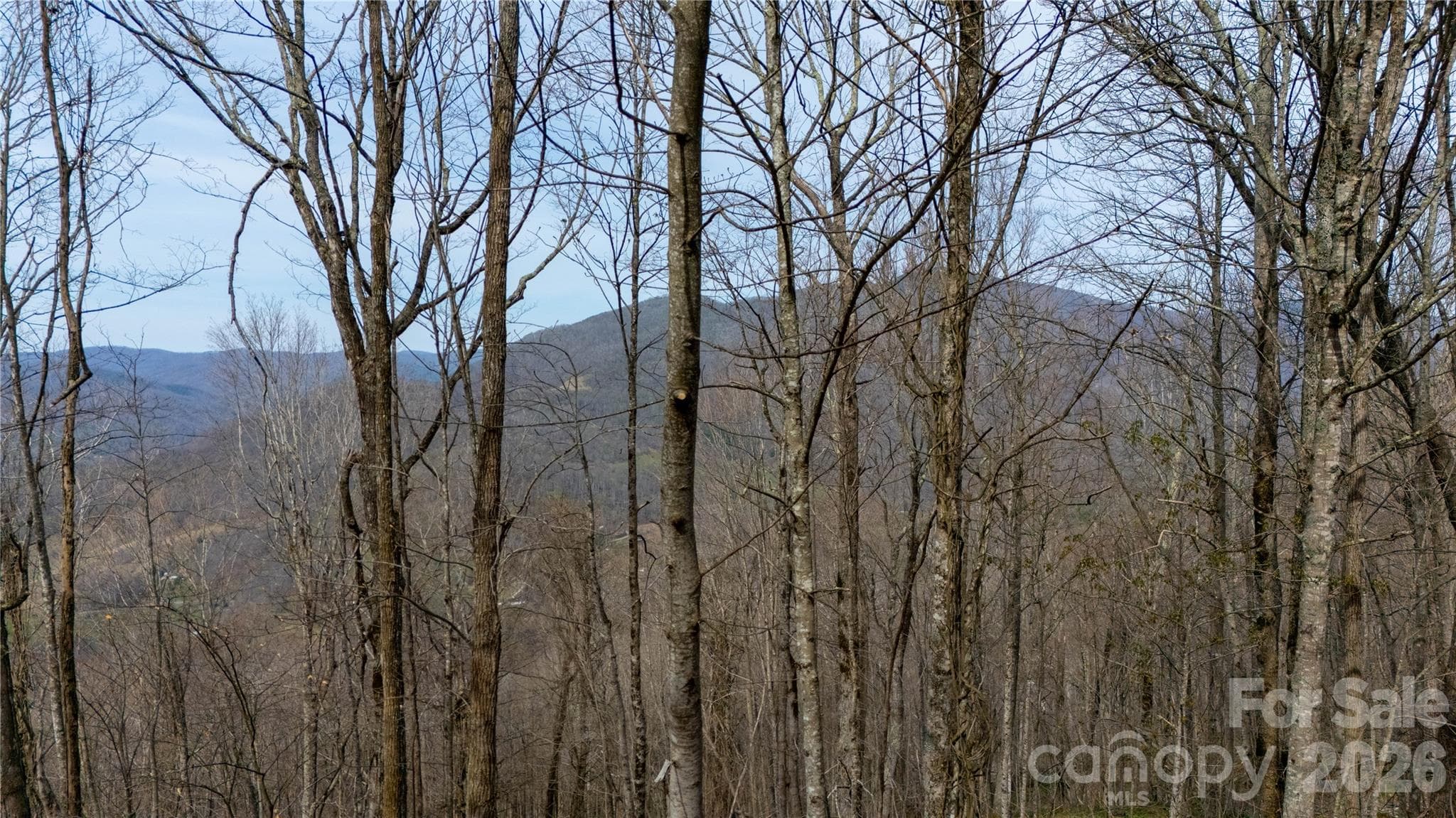 Lot at 000 Tyler Lane, Bakersville, photo 2 of 16