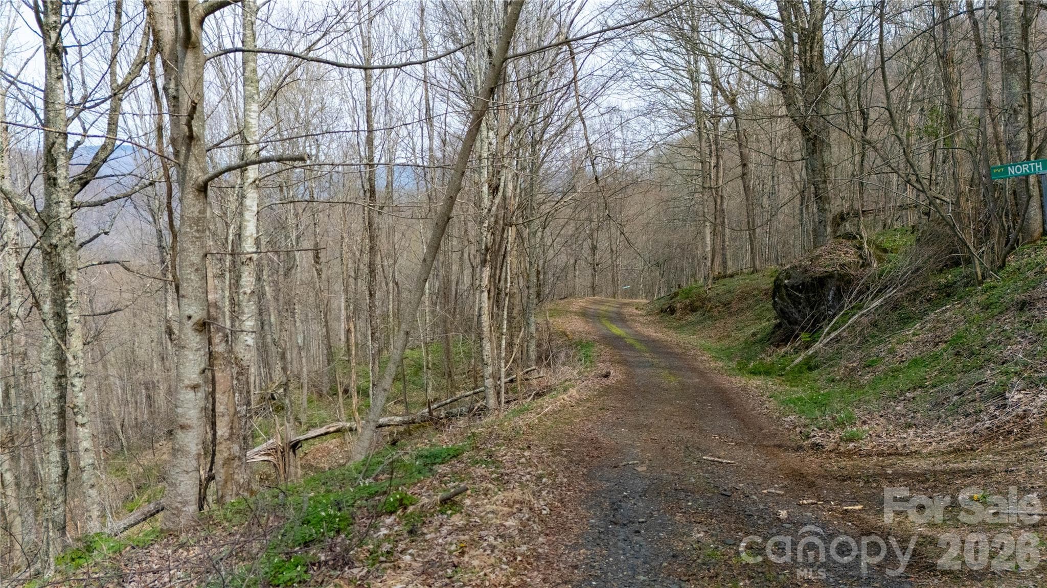 Lot at 000 Tyler Lane, Bakersville, photo 3 of 16