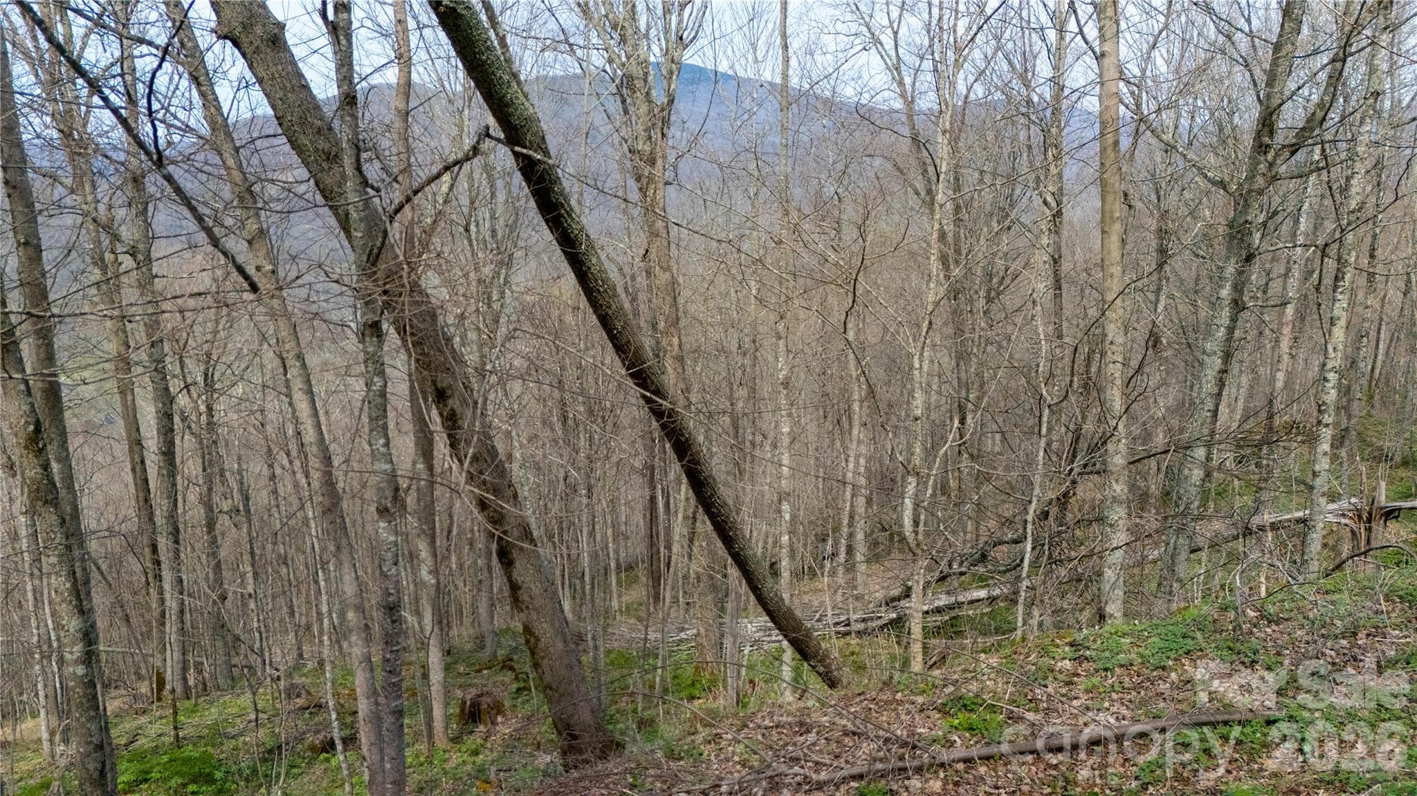 Lot at 000 Tyler Lane, Bakersville, photo 4 of 16