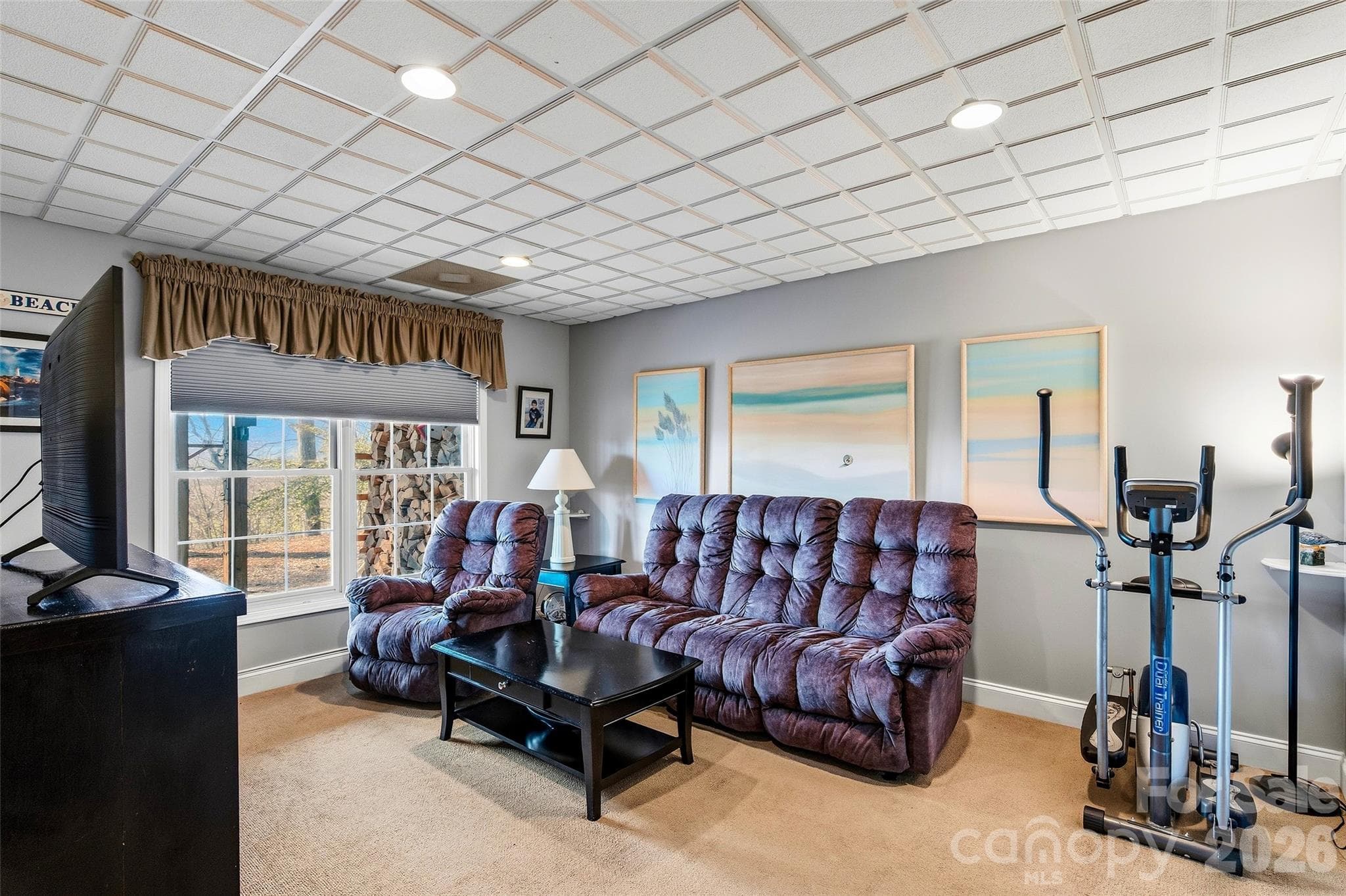 Lower Level Living Room - Brevard