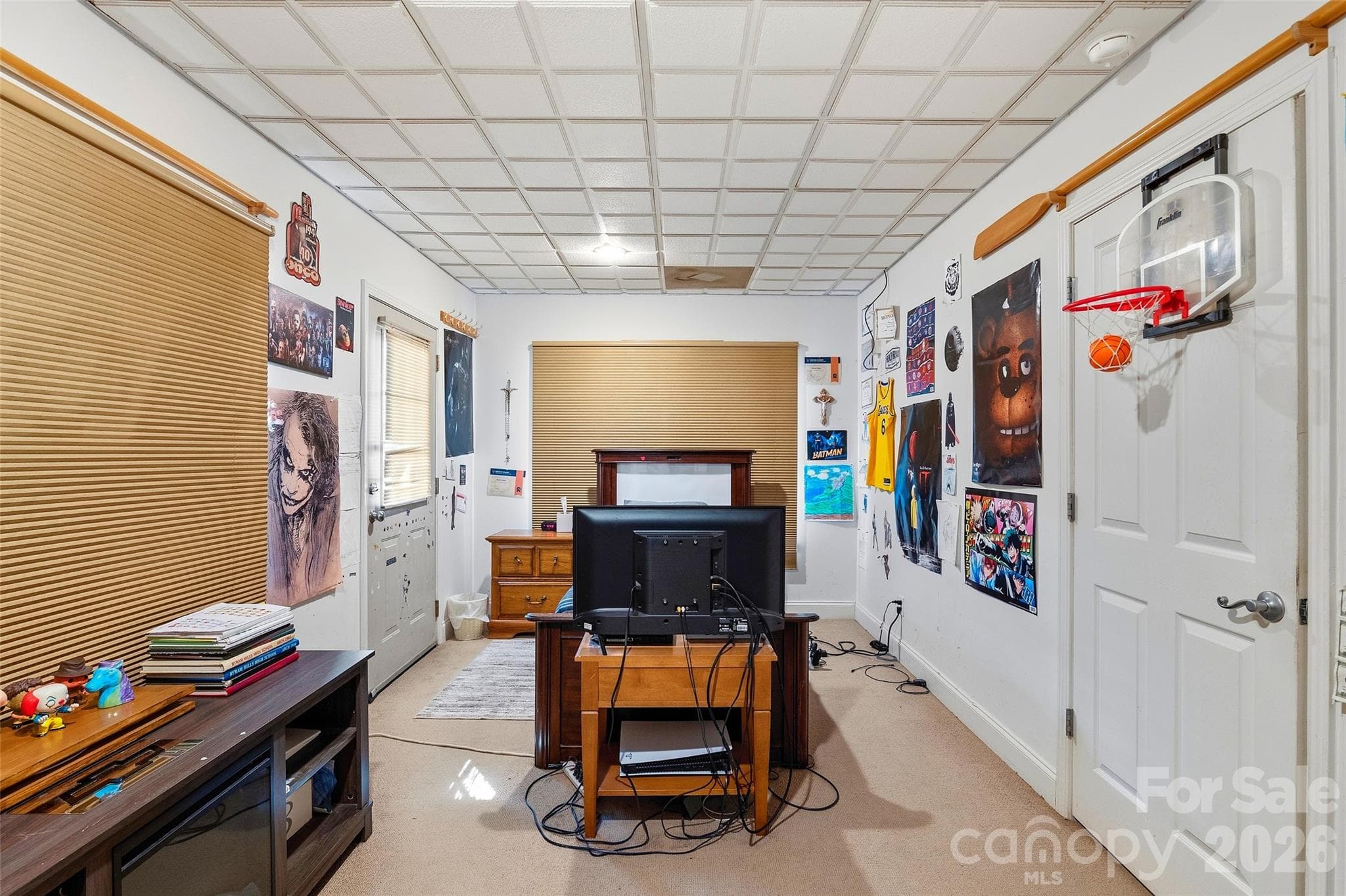 Lower Level Bonus Room - Brevard