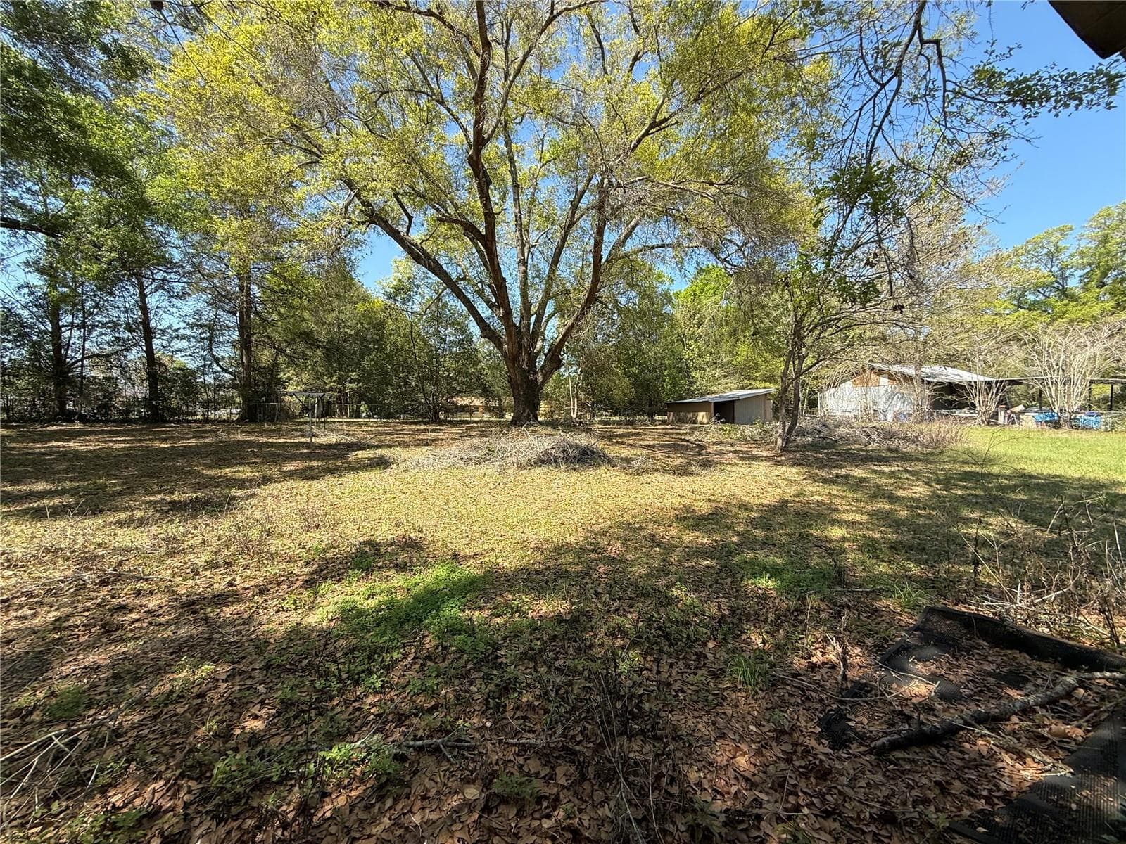 Single Family Residence at 600 NE 53RD CT, OCALA, photo 12 of 13