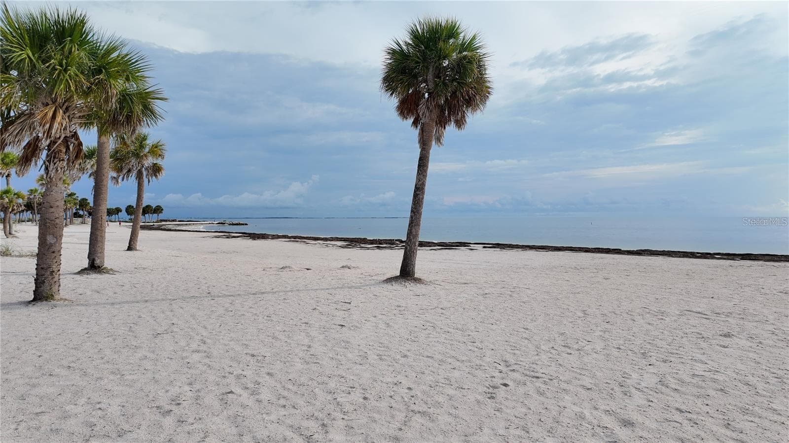 Townhouse at 1500 SUNSET RD BLDG C #C7, TARPON SPRINGS, photo 42 of 70