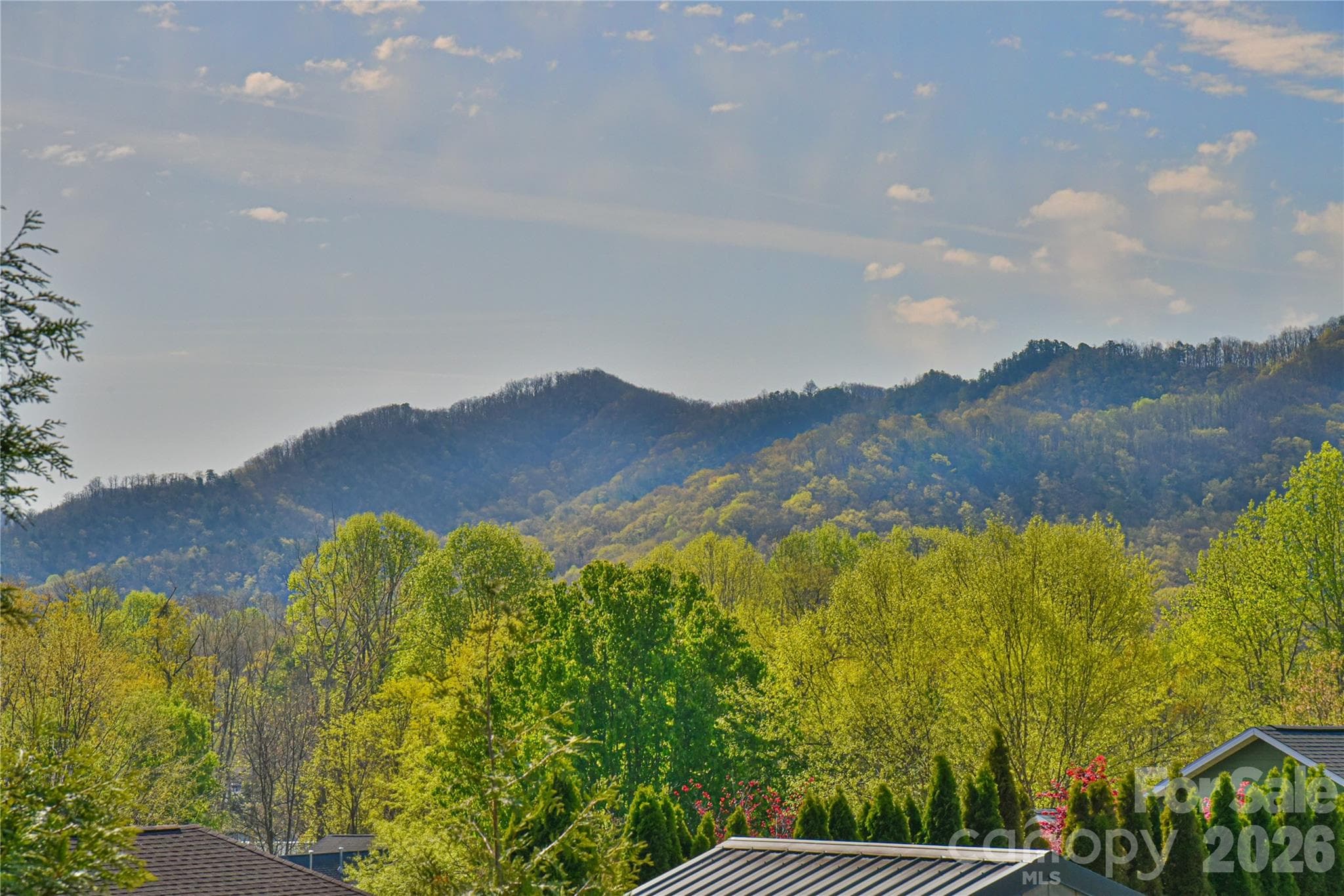 view from the back deck with access from the living room and primary bedroom. - Black Mountain