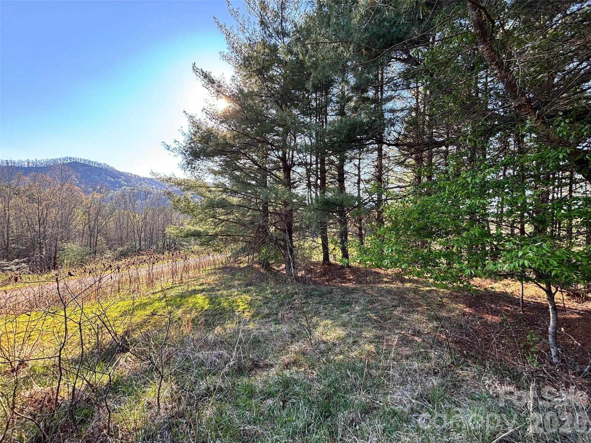 Lot at Clyde, photo 2 of 19