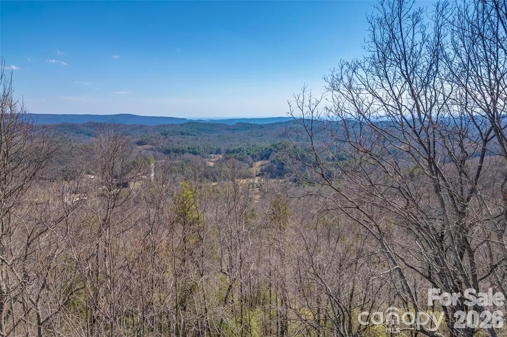 Lot at TBD Loganberry Lane, Lake Toxaway, photo 3 of 13