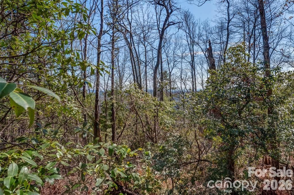 Lot at TBD Loganberry Lane, Lake Toxaway, photo 4 of 13