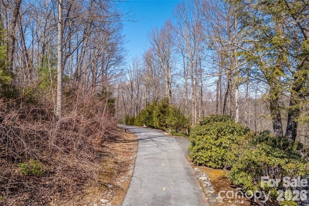 Lot at TBD Loganberry Lane, Lake Toxaway, photo 5 of 13