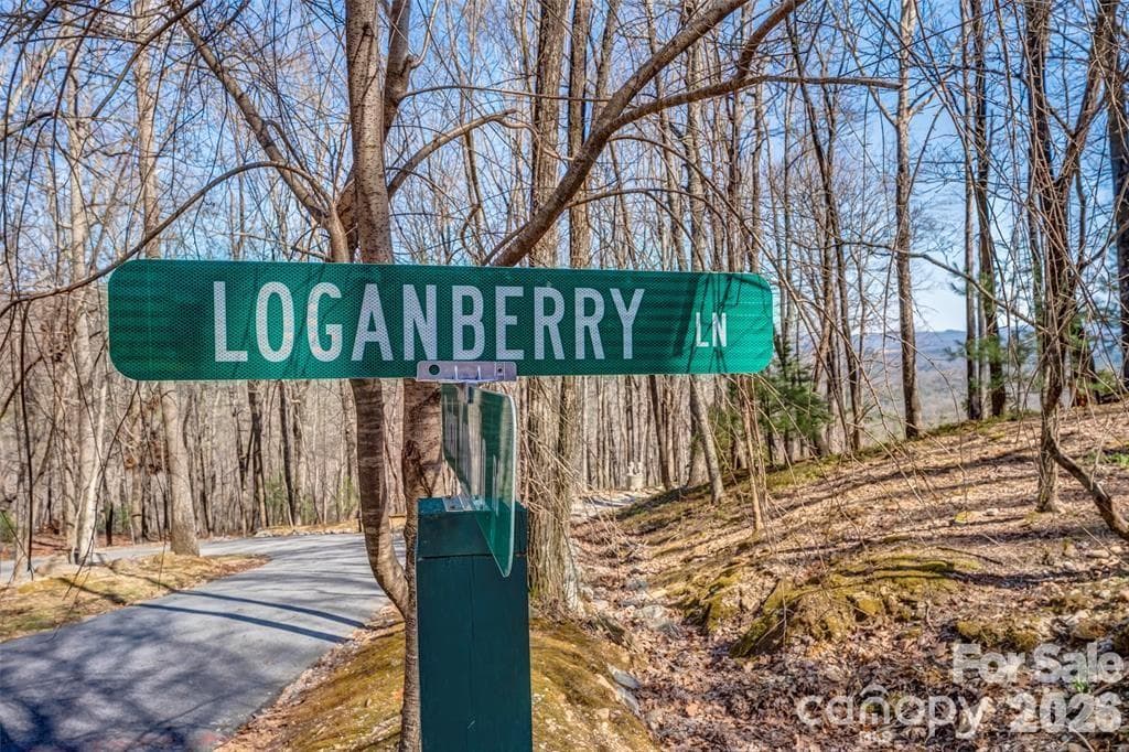 Lot at TBD Loganberry Lane, Lake Toxaway, photo 10 of 13