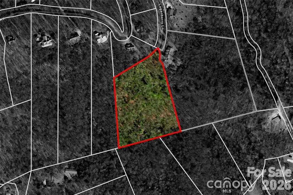 Lot at TBD Loganberry Lane, Lake Toxaway, photo 12 of 13