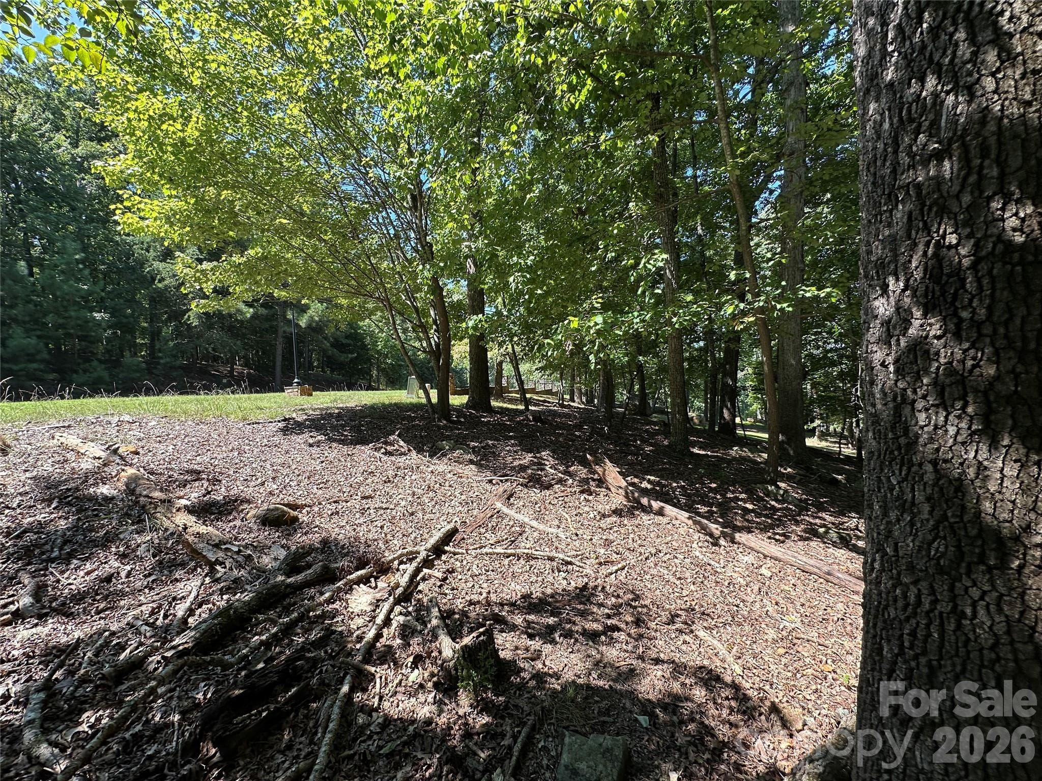 Lot at 1768 Rocky Cove Lane, Denton, photo 5 of 12