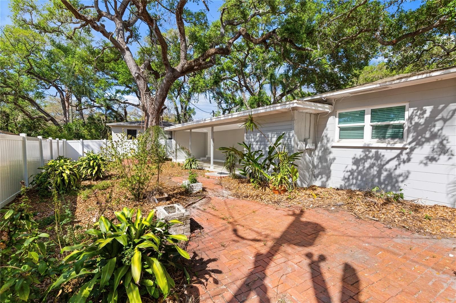 Backyard - 804 S EVERGREEN AVE, CLEARWATER