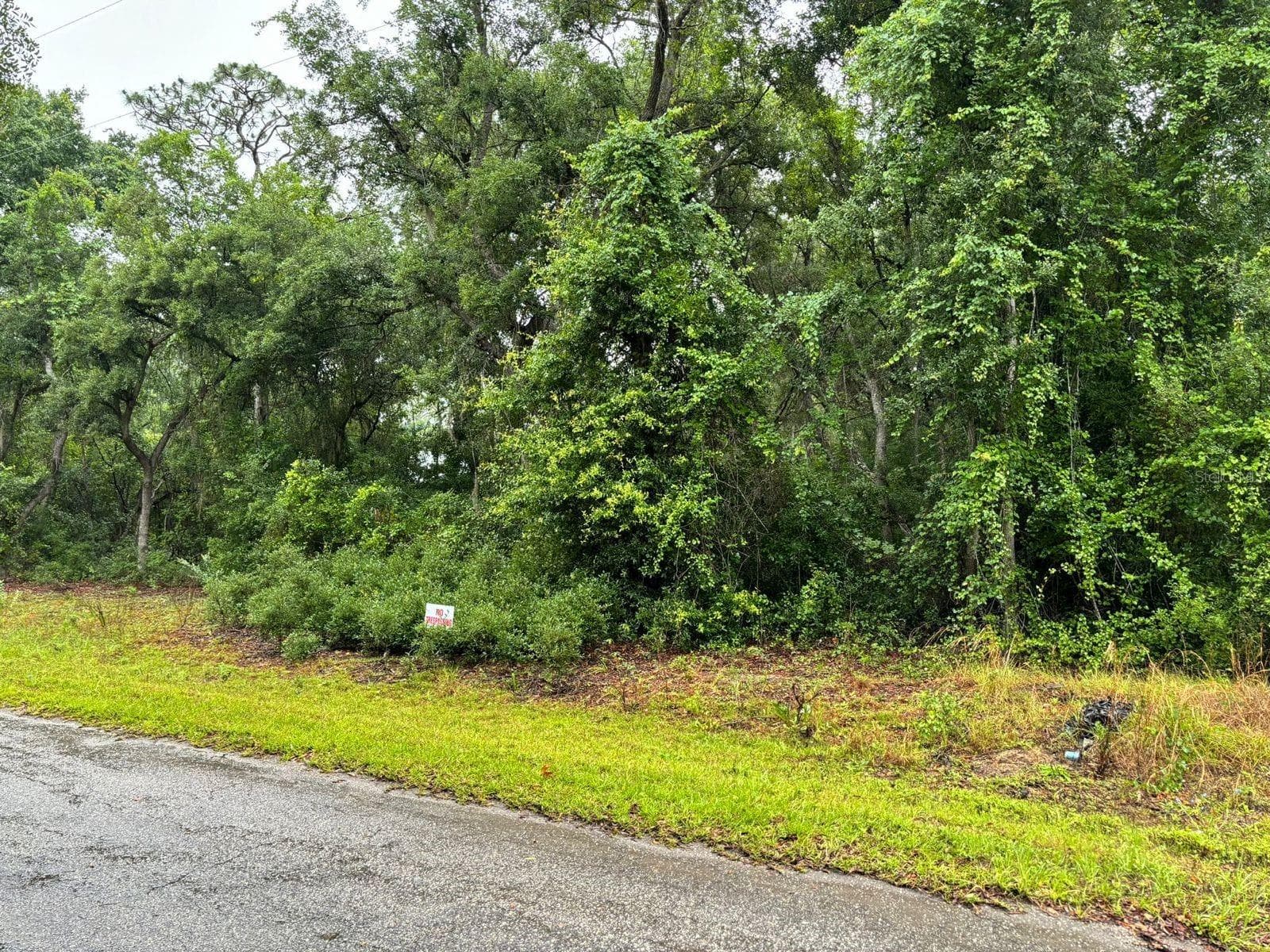 Land at 11 FISHER WAY COURSE, OCKLAWAHA, photo 3 of 3
