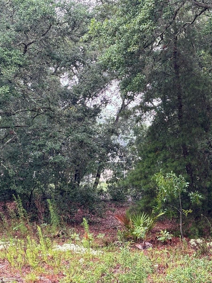 Land at 7 FISHER WAY DRIVE, OCKLAWAHA, photo 2 of 3