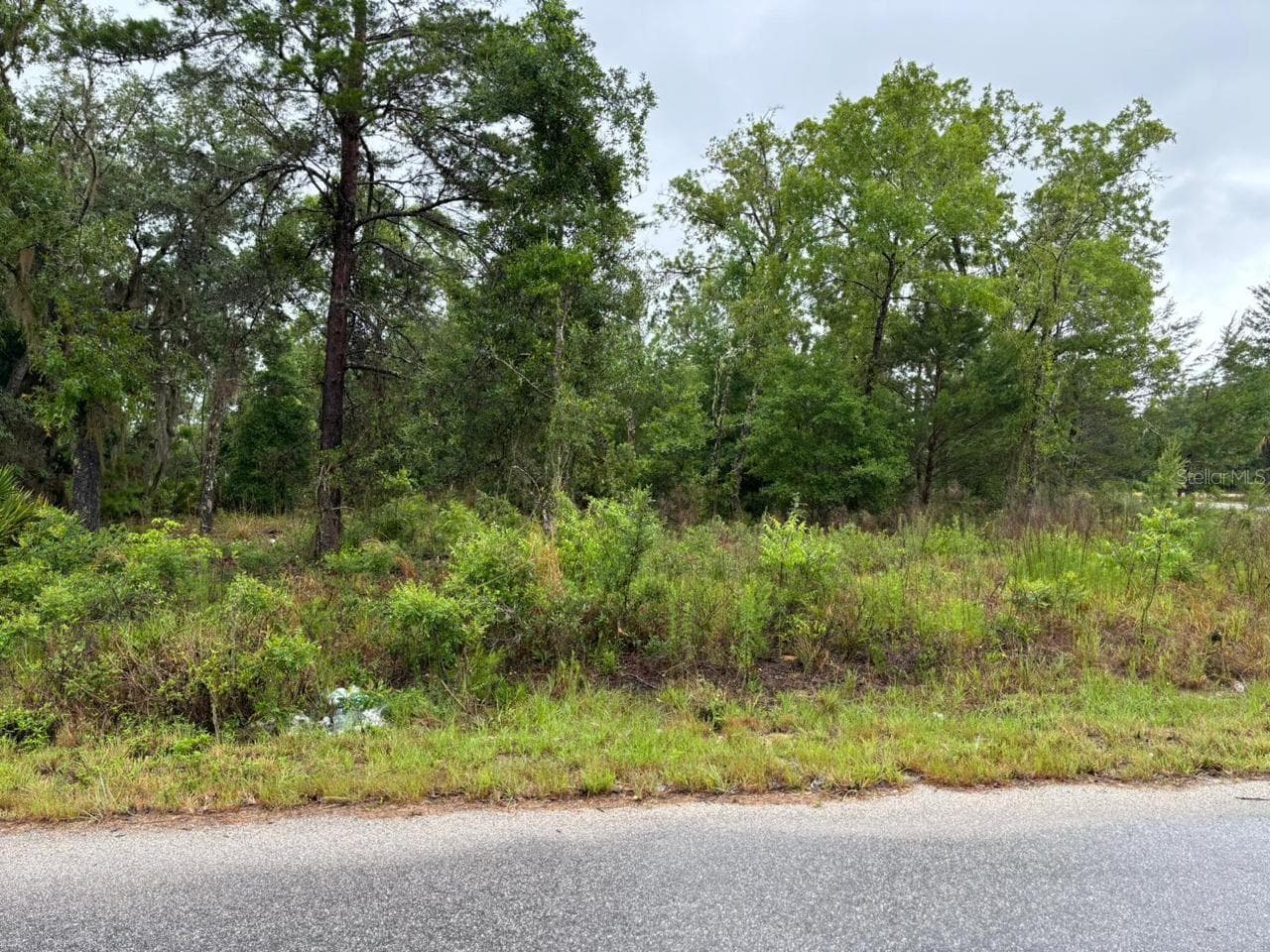 Land at 1 MALAUKA RADIAL DR, OCKLAWAHA, photo 2 of 3