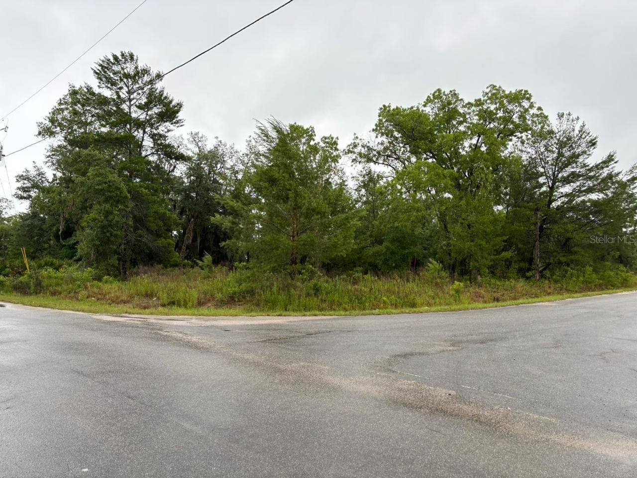 Land at 1 MALAUKA RADIAL DR, OCKLAWAHA, photo 3 of 3