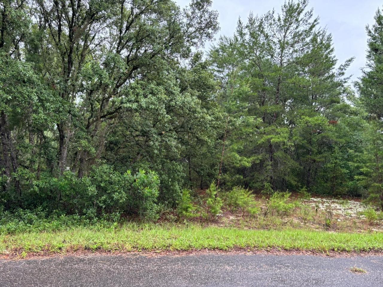 Land at 16 FISHER COURT WAY, OCKLAWAHA, photo 2 of 3