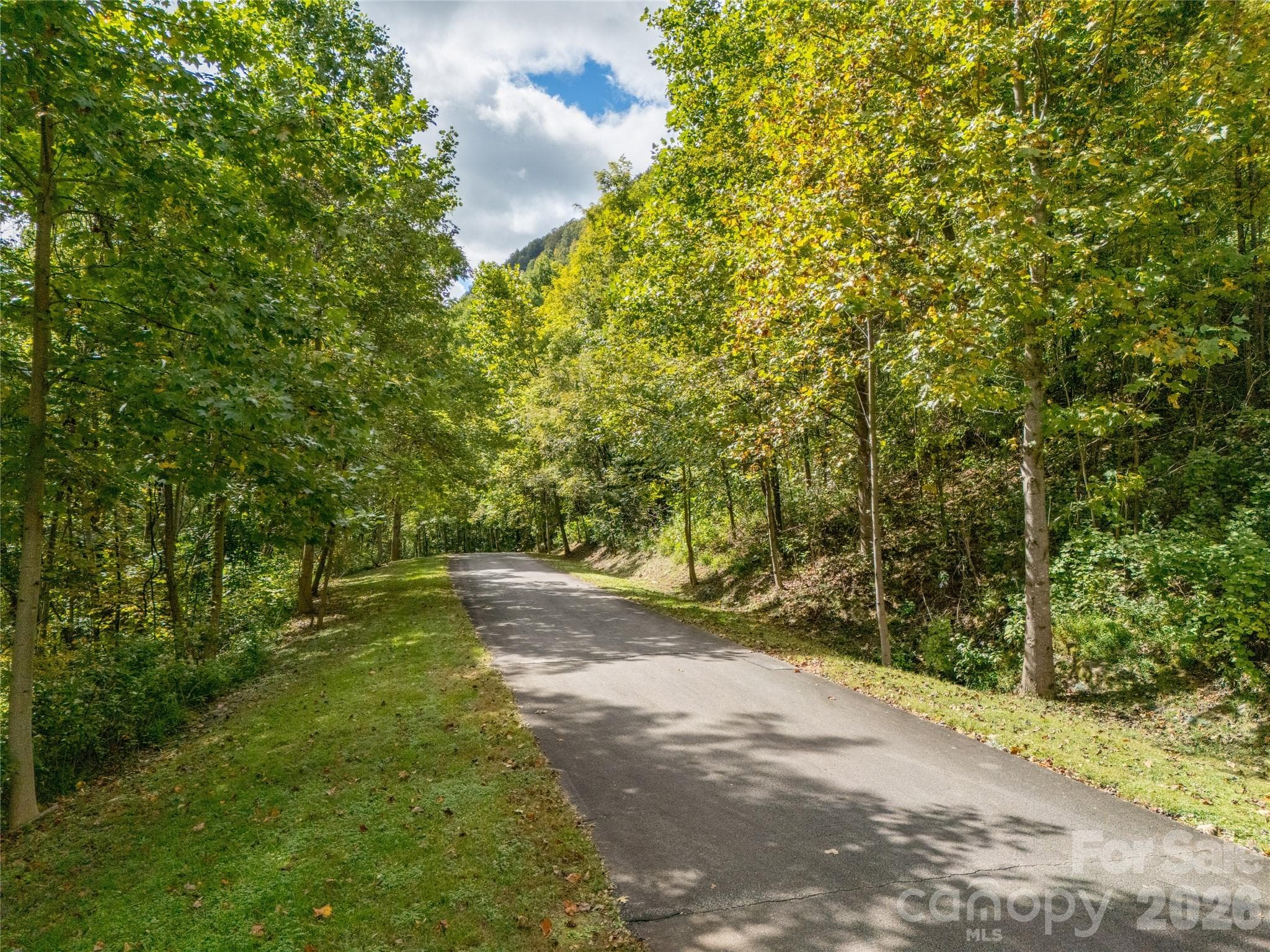 Lot at Mill Spring, photo 13 of 35