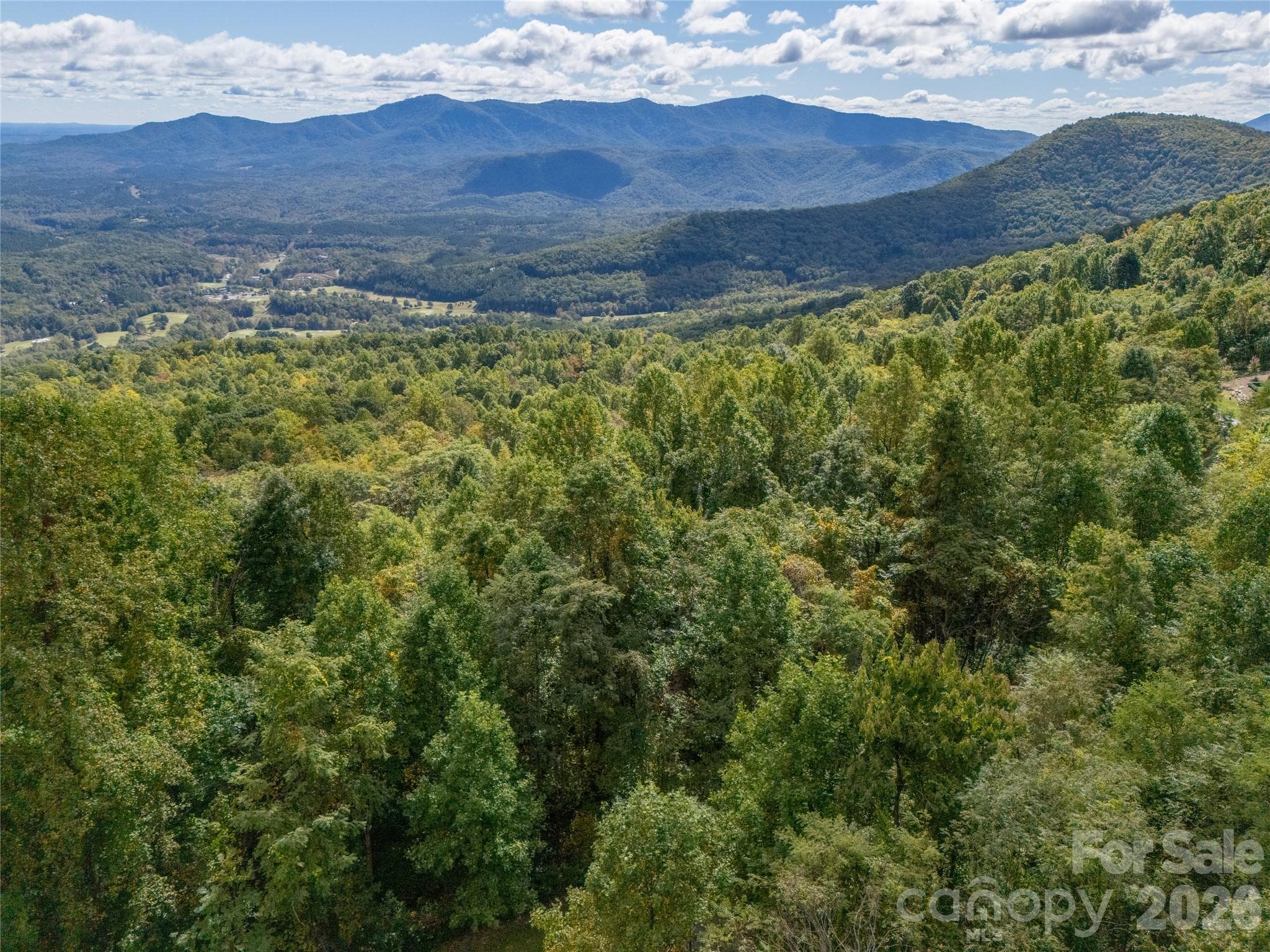 Lot at Mill Spring, photo 14 of 35