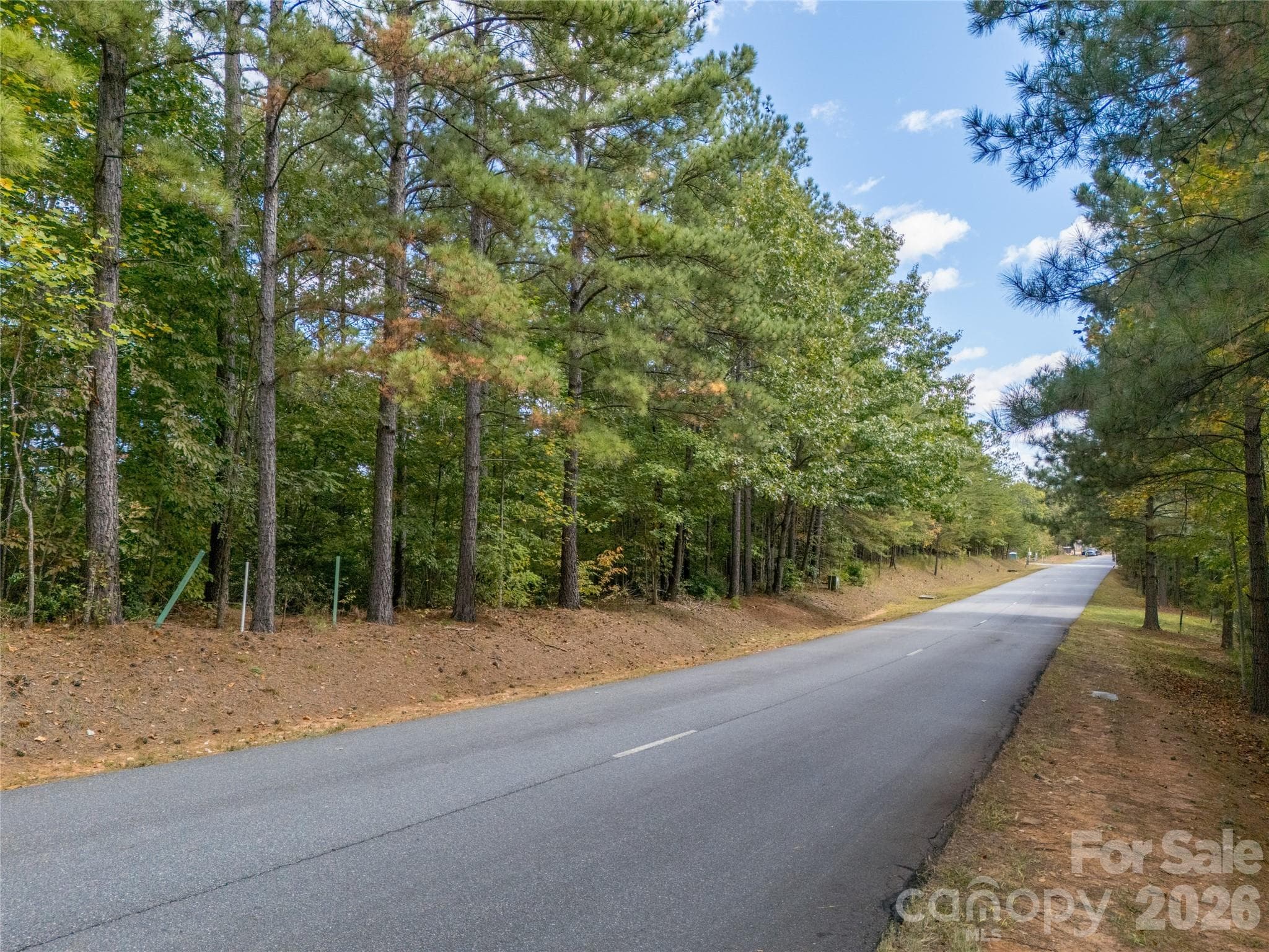 Lot at Mill Spring, photo 21 of 35