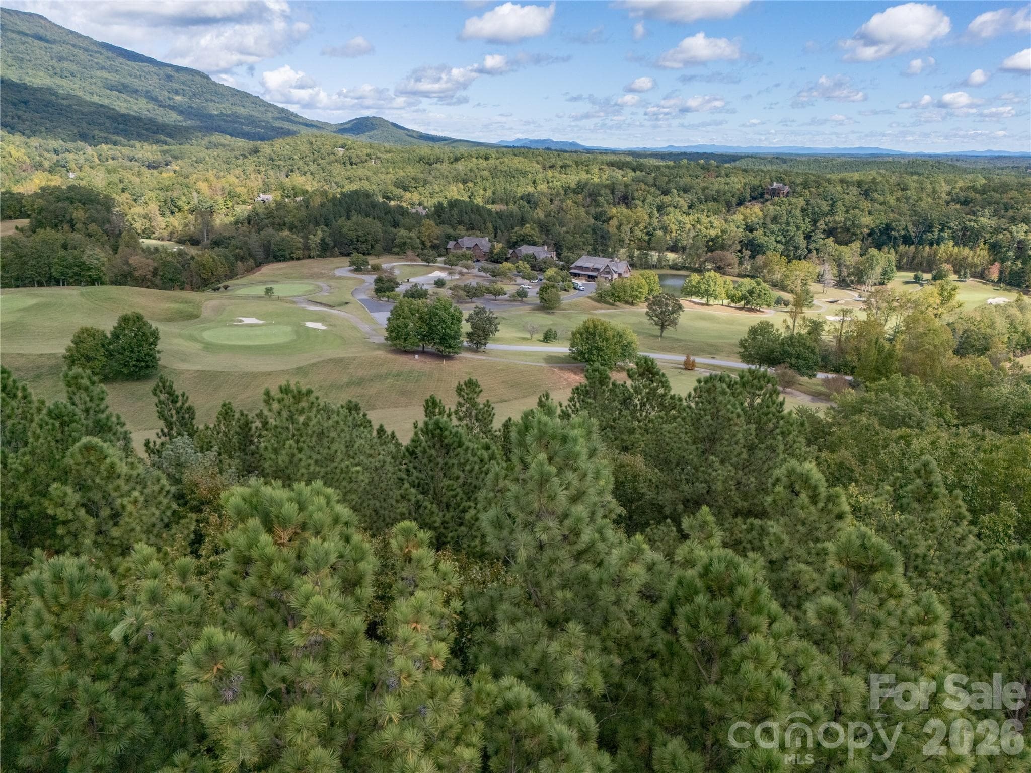 Lot at Mill Spring, photo 23 of 35