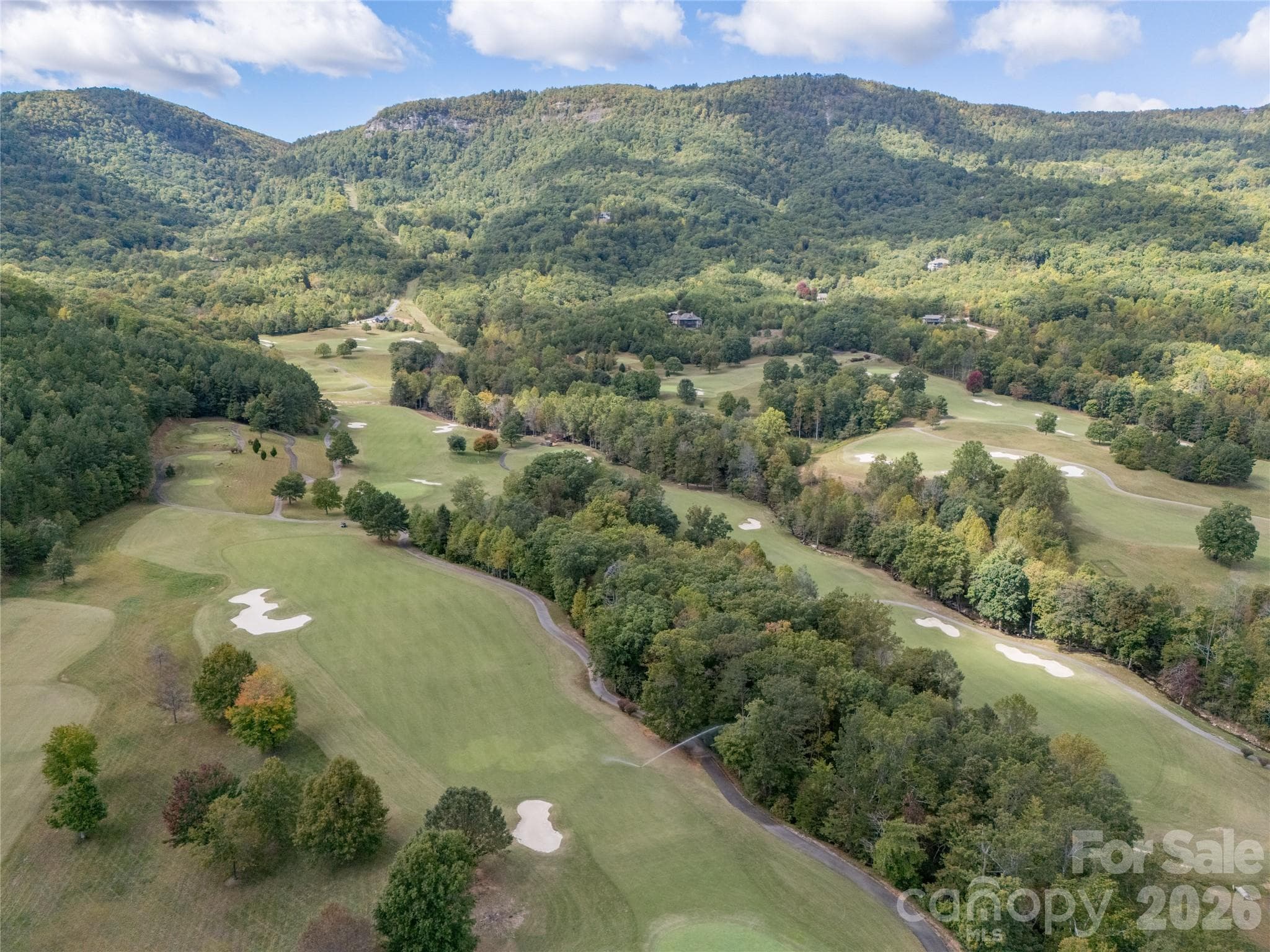 Lot at Mill Spring, photo 25 of 35