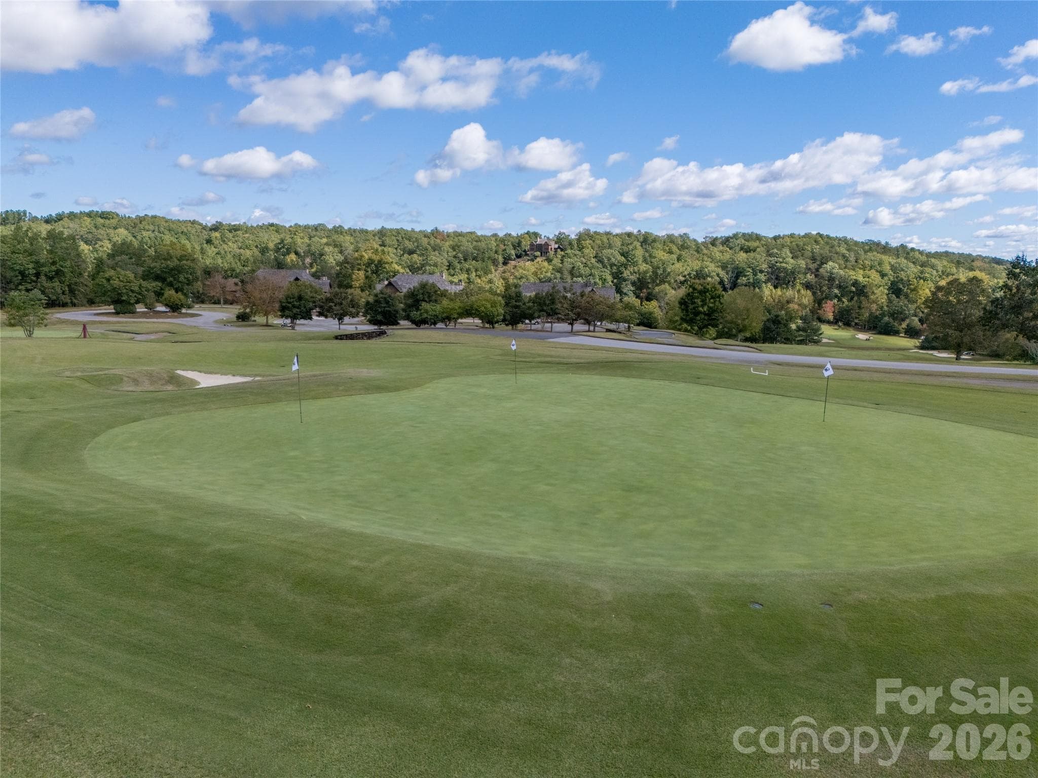 Lot at Mill Spring, photo 28 of 35