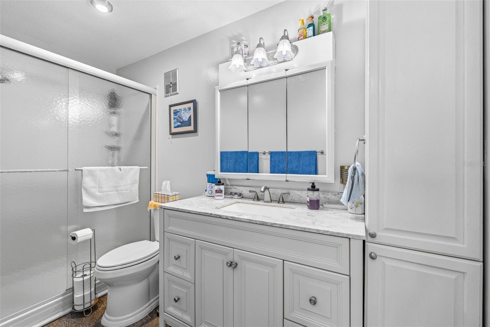 Bathroom with updated vanity and storage - 5521 80TH ST N #212, ST PETERSBURG