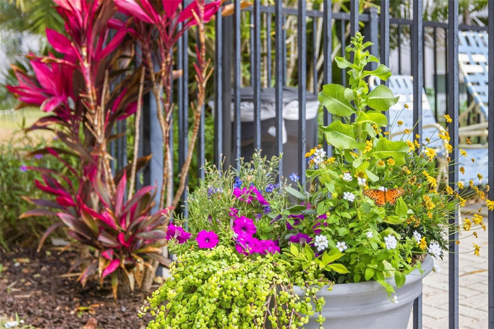 Lush landscaping throughout Five Towns community - 5521 80TH ST N #212, ST PETERSBURG