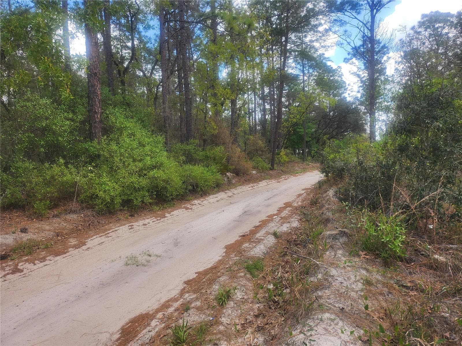 Land at 7446 SW 151ST PL, DUNNELLON, photo 2 of 4