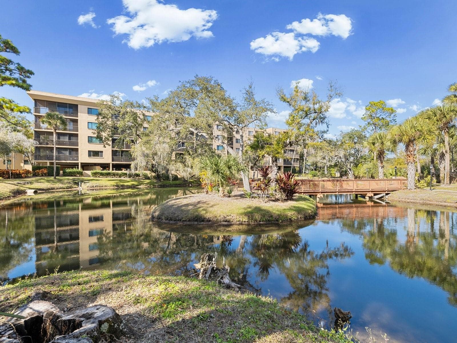 Beautiful grounds - 3078 EASTLAND BLVD #309, CLEARWATER