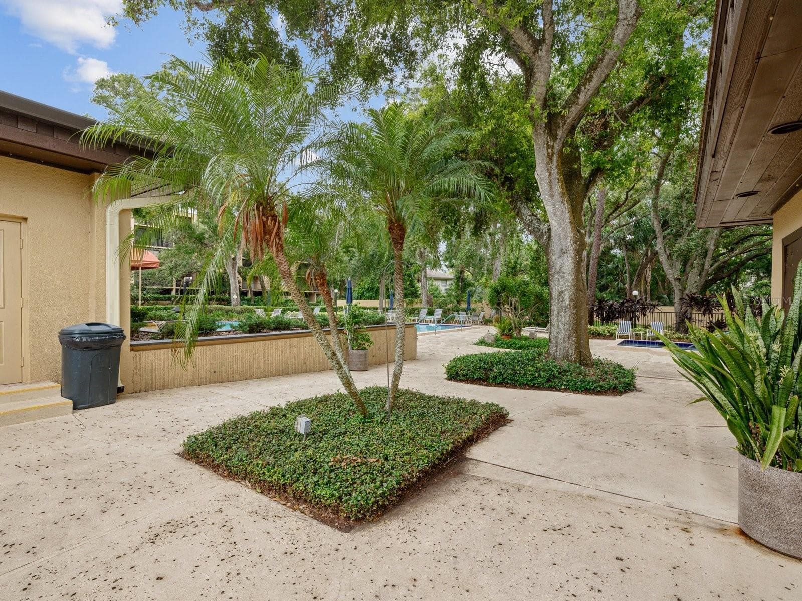 Pool deck and baths to the left - 3078 EASTLAND BLVD #309, CLEARWATER