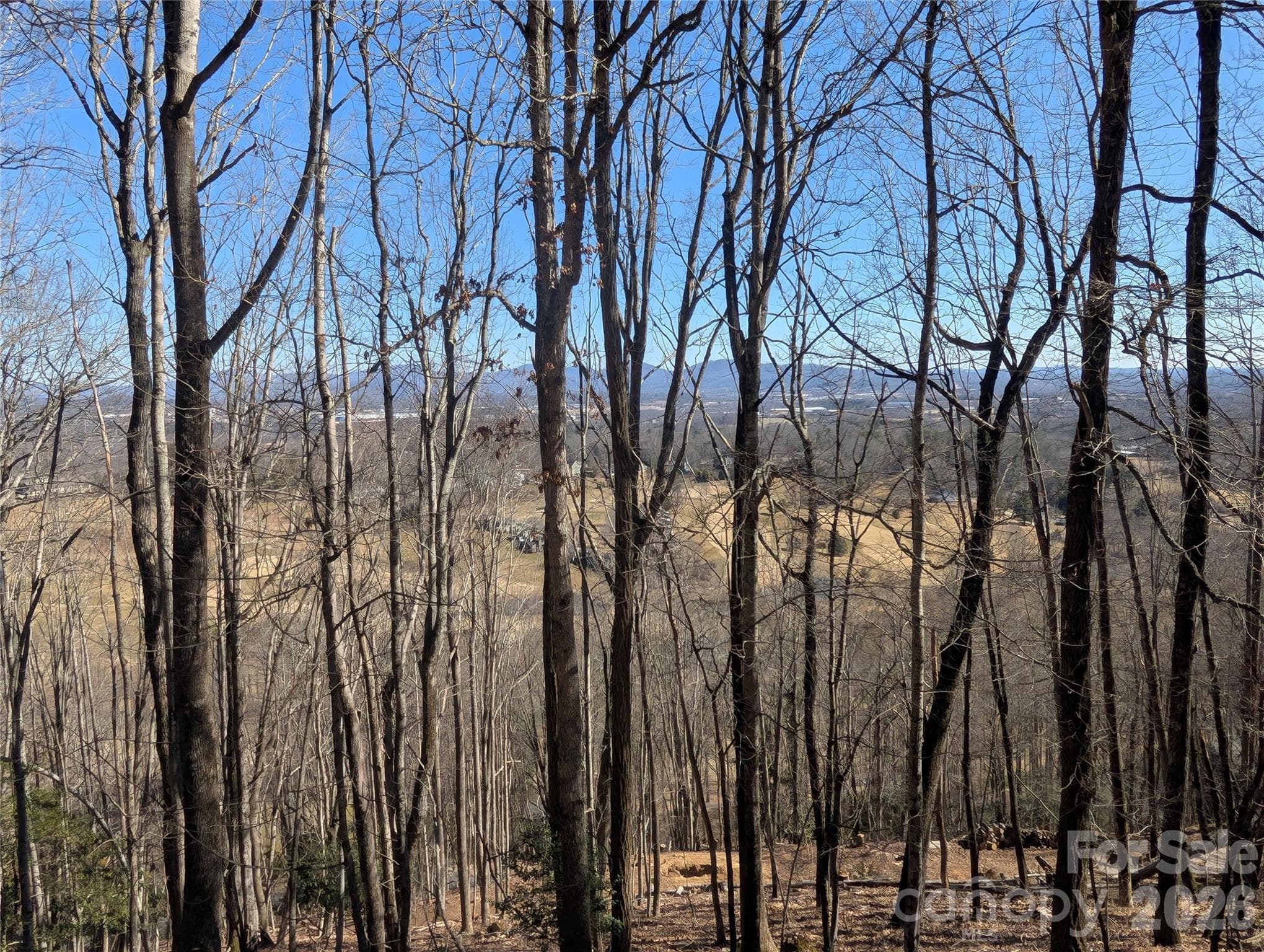 Single Family Residence at 4 Wild Dogwood Trail, Mills River, photo 5 of 41