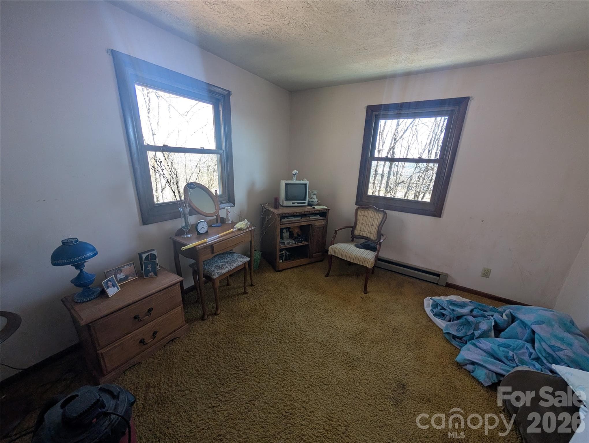 Single Family Residence at 4 Wild Dogwood Trail, Mills River, photo 7 of 41