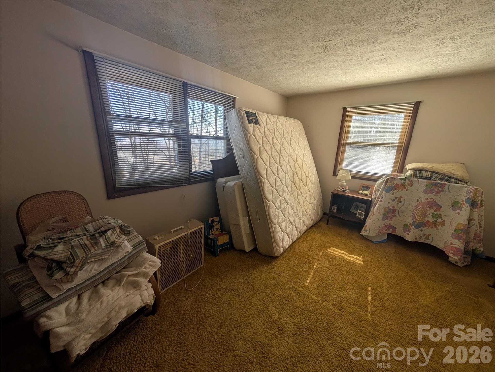 Single Family Residence at 4 Wild Dogwood Trail, Mills River, photo 8 of 41