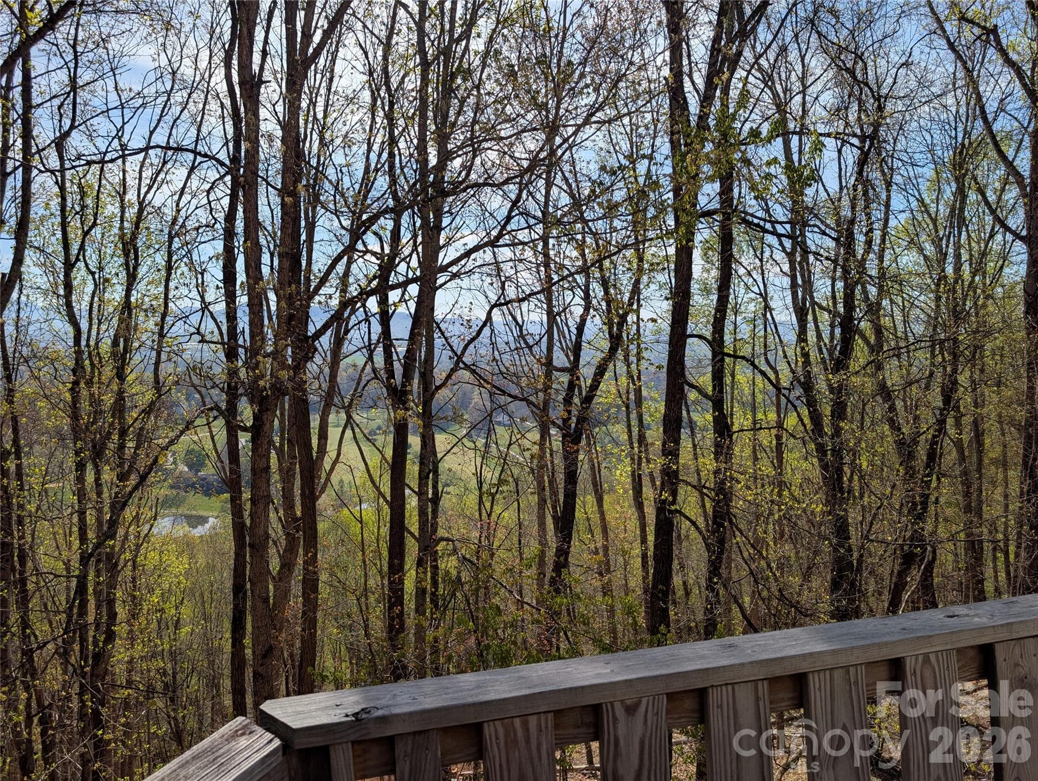 Single Family Residence at 4 Wild Dogwood Trail, Mills River, photo 39 of 41