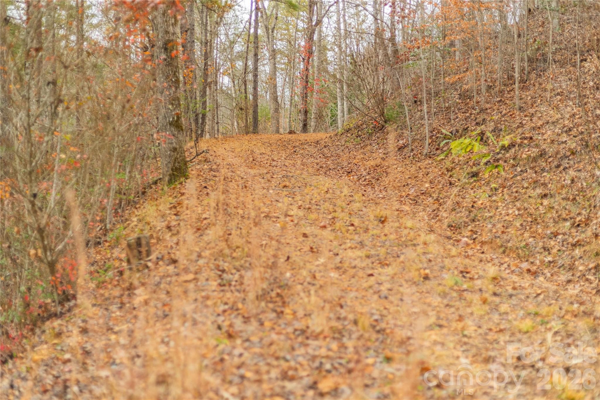 Acreage at 104 Robin Lane, Bryson City, photo 10 of 47