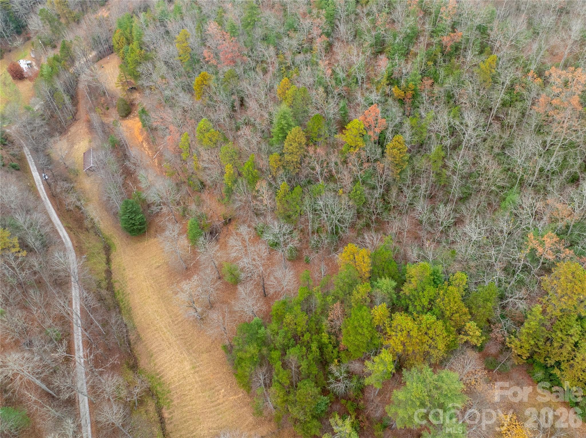 Acreage at 104 Robin Lane, Bryson City, photo 15 of 47