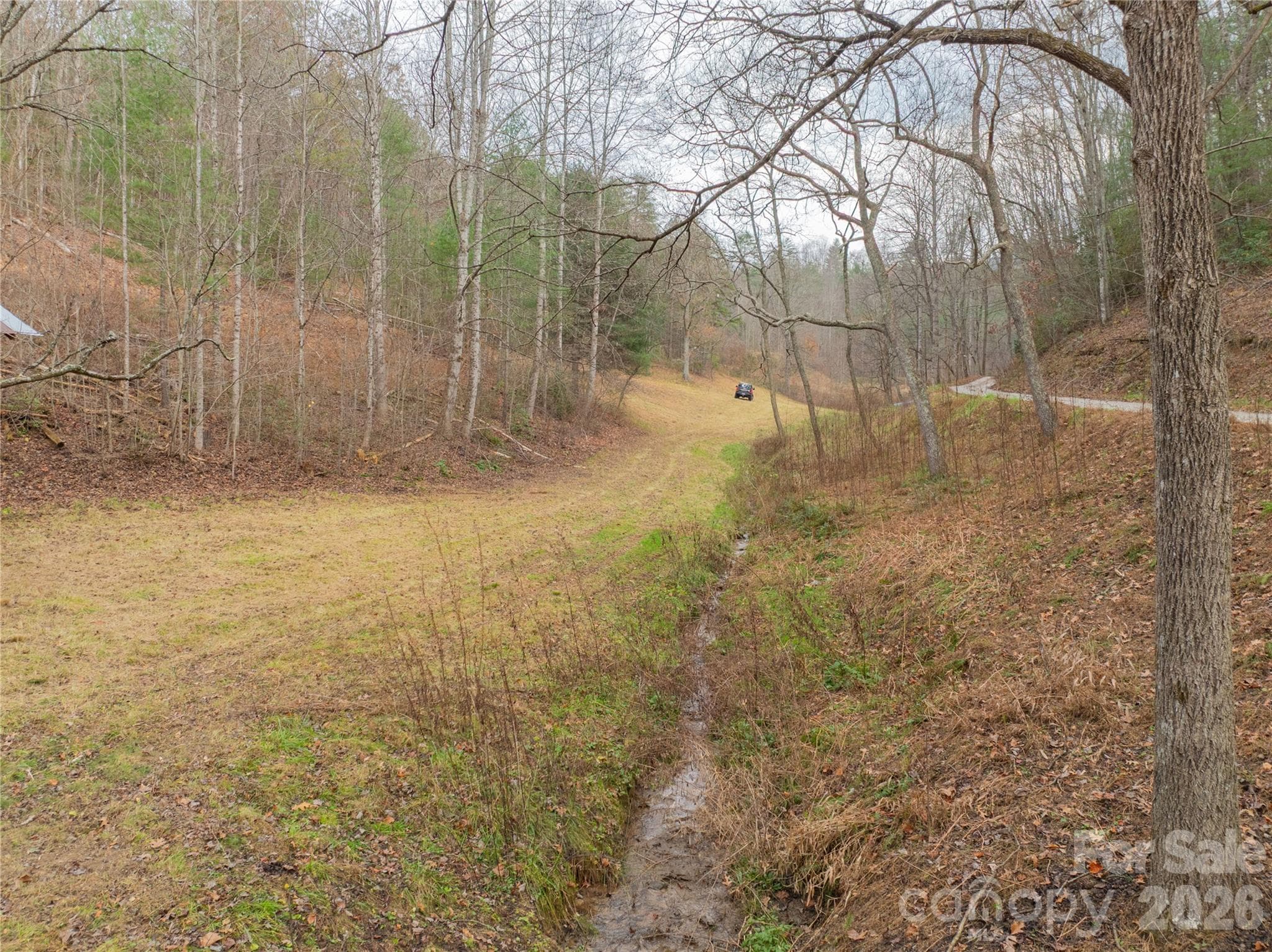 Acreage at 104 Robin Lane, Bryson City, photo 25 of 47
