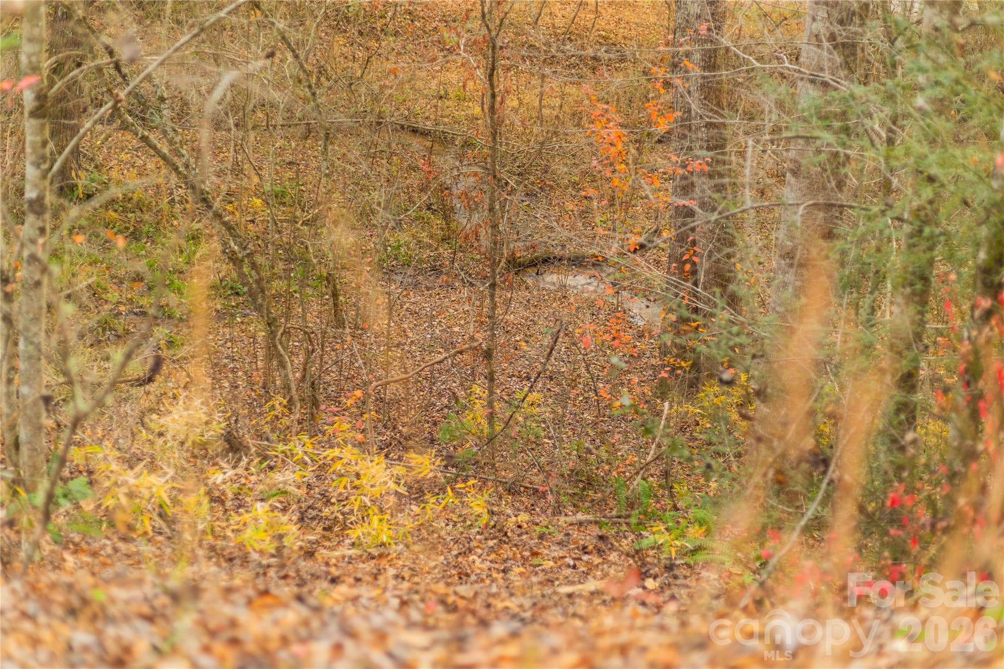 Acreage at 104 Robin Lane, Bryson City, photo 41 of 47