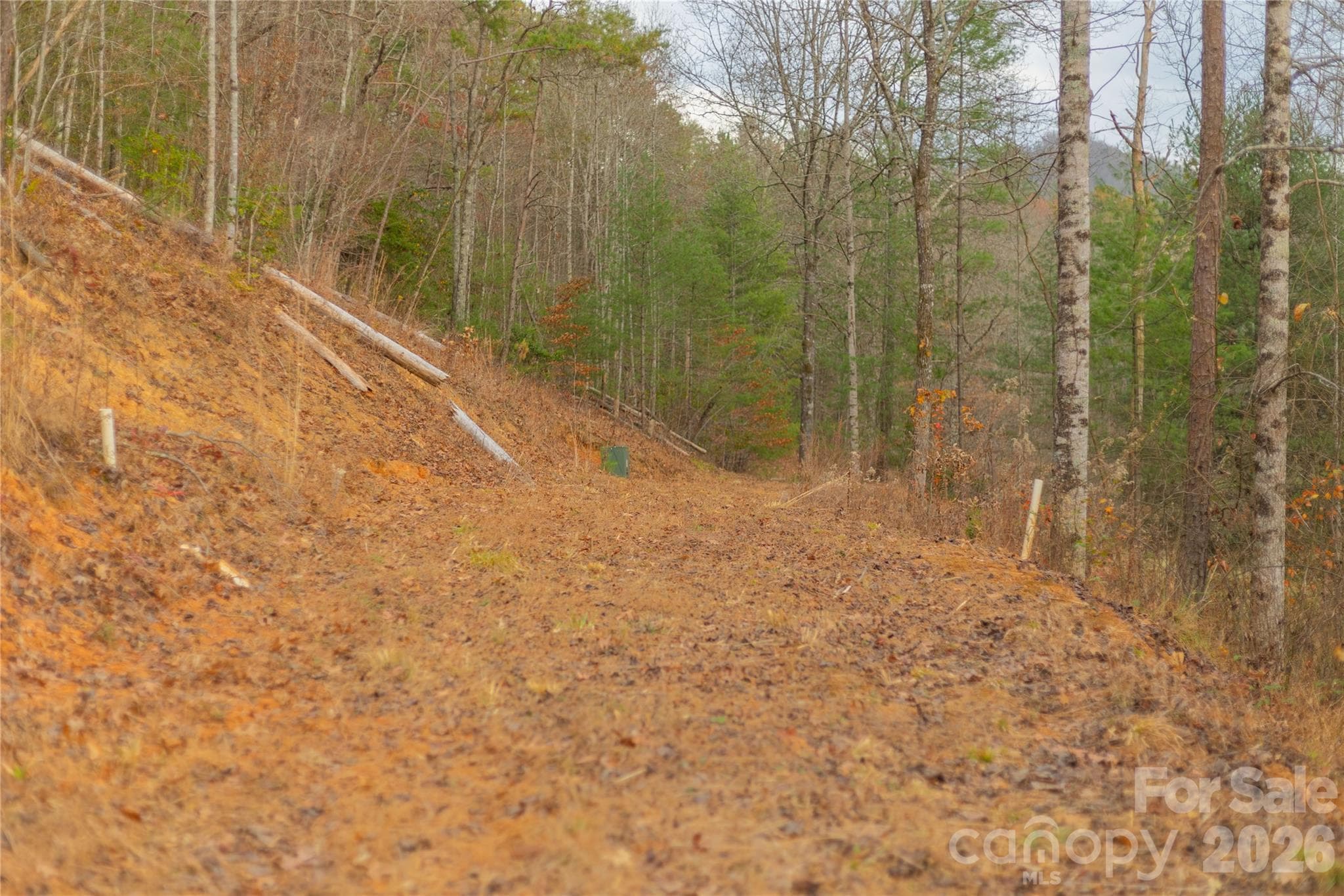 Acreage at 104 Robin Lane, Bryson City, photo 42 of 47