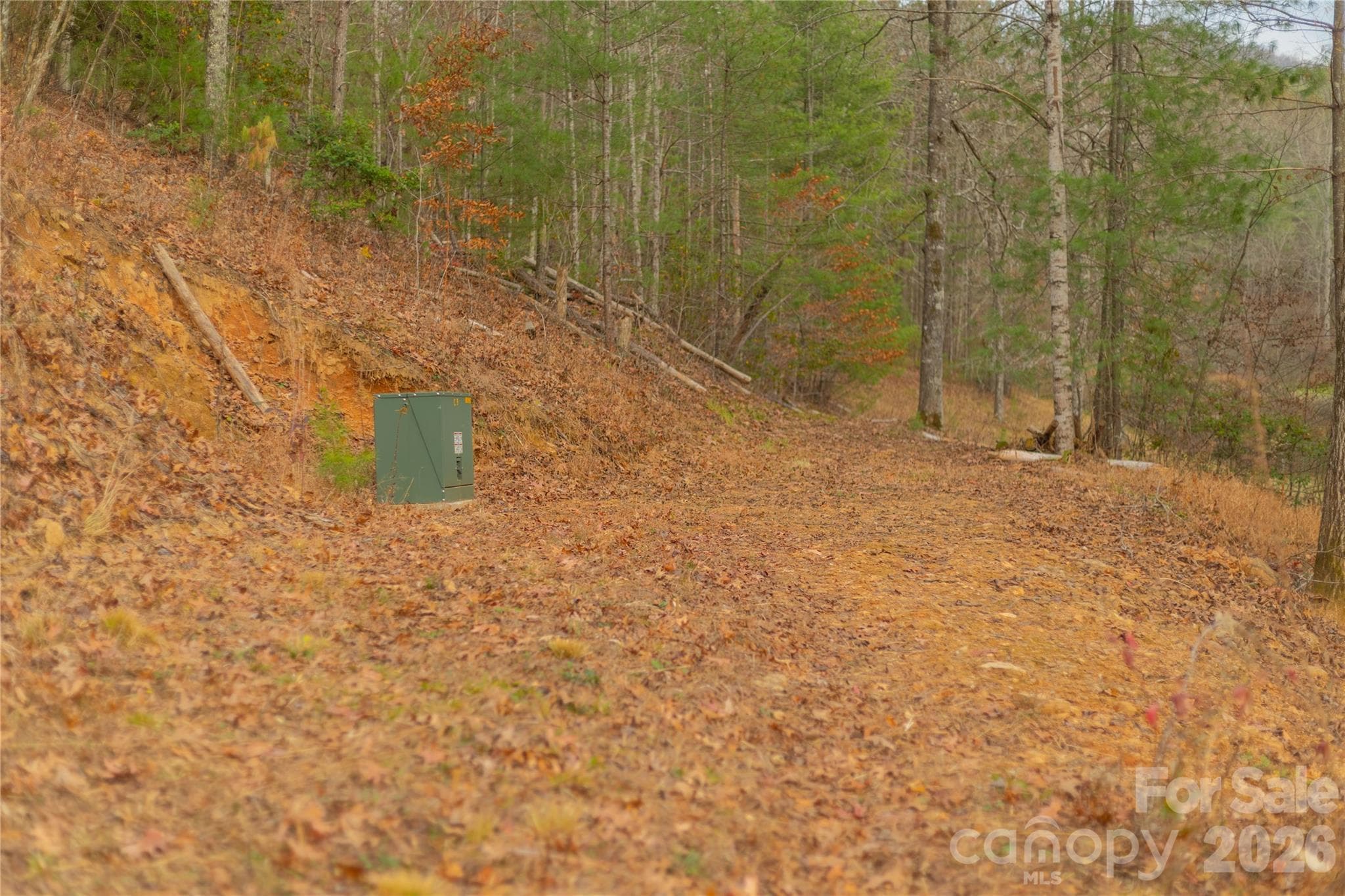 Acreage at 104 Robin Lane, Bryson City, photo 43 of 47