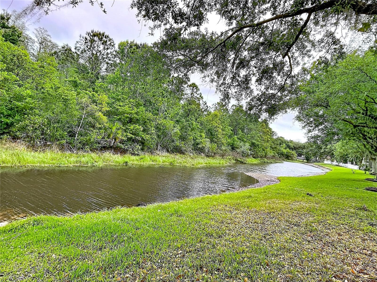 Single Family Residence at 27509 EDENFIELD DR, WESLEY CHAPEL, photo 3 of 55