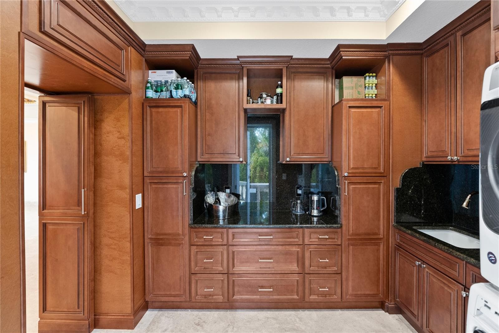 Walk-in Butler's Pantry. - 2000 PARK ST N, ST PETERSBURG